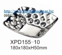 BÁT ĐỰNG INOX XPD155-10