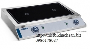 Commercial Induction Cooker FSECH-0604