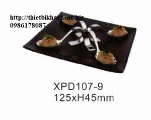 Đĩa đá buffet XPD107-9
