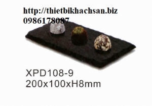 Đĩa đá buffet XPD108-9